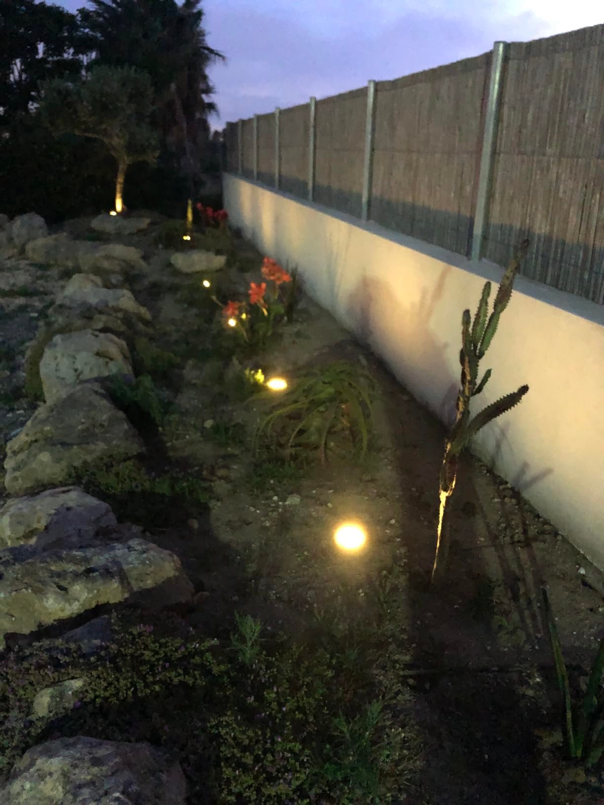 Cost-effective solar lighting